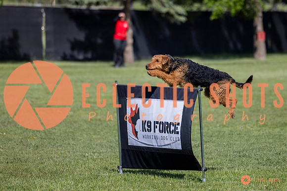 2025-K9Force-MayExams-7360