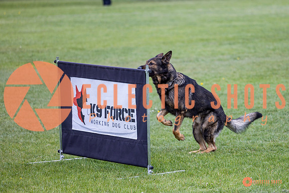 2025-K9Force-MayExams-5577