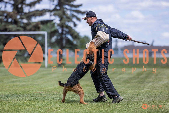 2025-K9Force-MayExams-7810