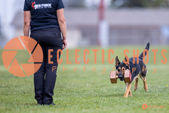 2025-K9Force-MayExams-7088
