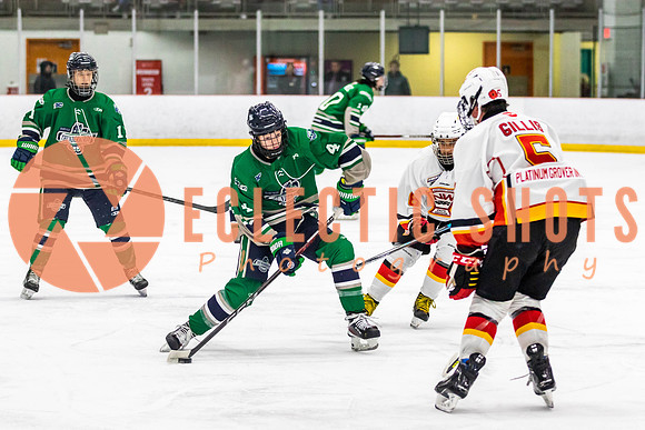 2022.11.09CalFlames-FVTBirds-0280