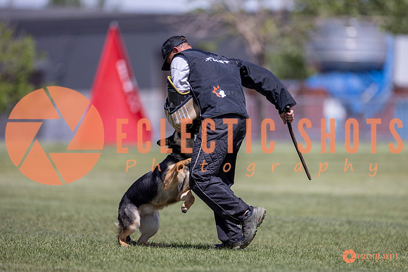 2025-K9Force-MayExams-8113