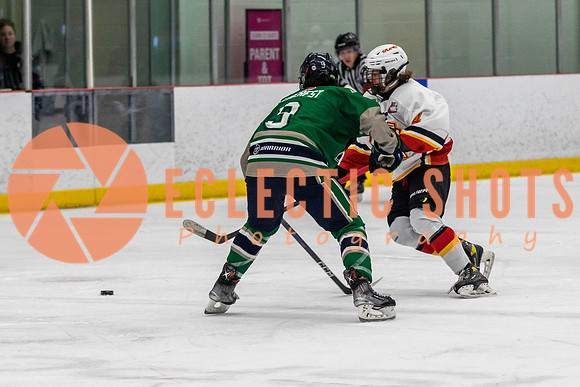 2022.11.09CalFlames-FVTBirds-0389