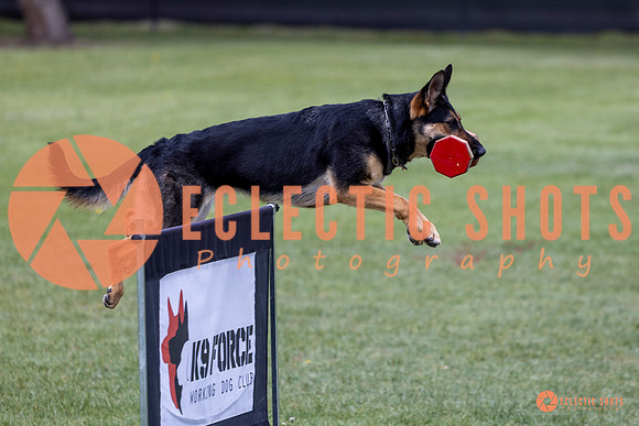 2025-K9Force-MayExams-6174