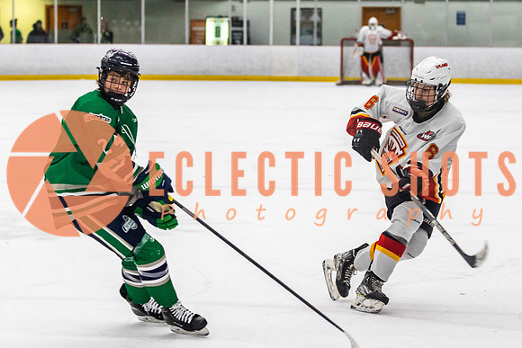 2022.11.09CalFlames-FVTBirds-0441