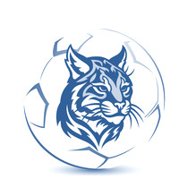 Lakeview Community Soccer-photos