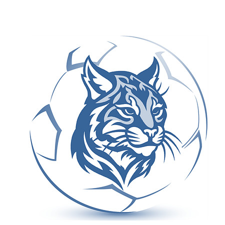 Lakeview Logo (2)