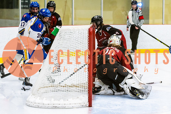 RMC2021-11-13-CalRoyals-VWGiants-7504
