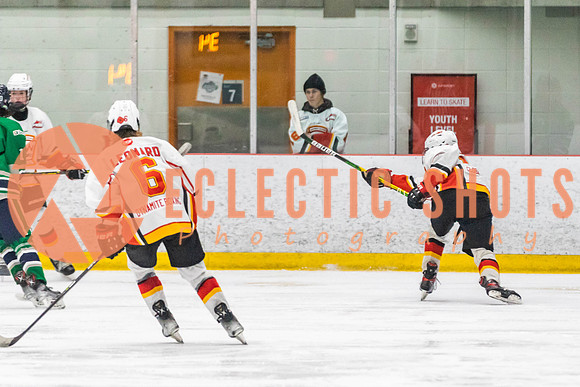 2022.11.09CalFlames-FVTBirds-0478