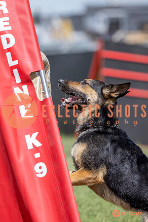 2025-K9Force-MayExams-7192