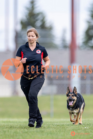 2025-K9Force-MayExams-7045