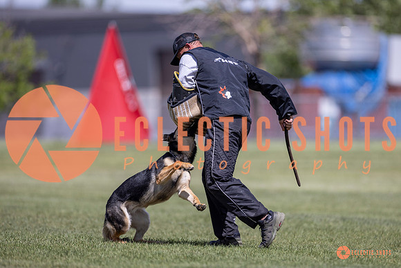 2025-K9Force-MayExams-8112