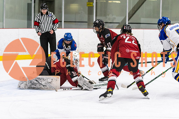 RMC2021-11-13-CalRoyals-VWGiants-7457