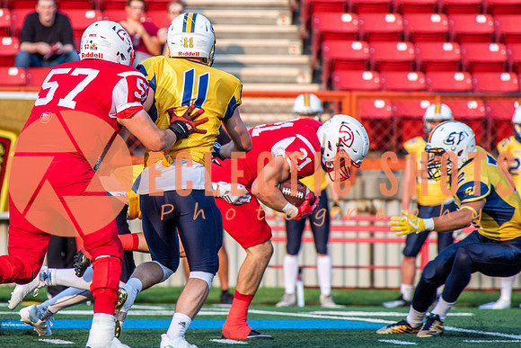 CalgaryColts-2560