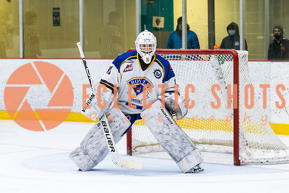 RMC2021-11-13-CalRoyals-VWGiants-7611