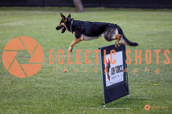 2025-K9Force-MayExams-6155