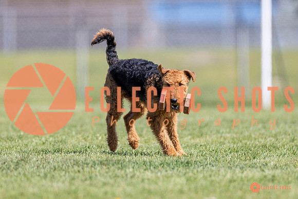 2025-K9Force-MayExams-8340