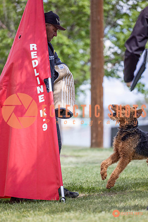 2025-K9Force-MayExams-7735