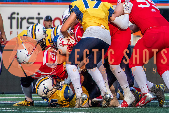 CalgaryColts-2637