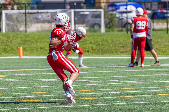 2025.08.17-CalgaryColts-ReginaThunder-11
