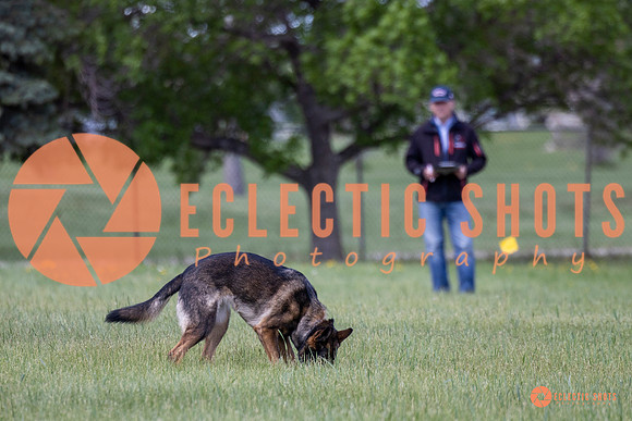2025-K9Force-MayExams-Kaia-7423