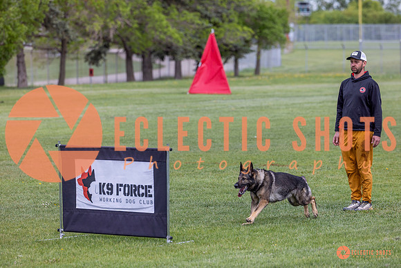2025-K9Force-MayExams-5814