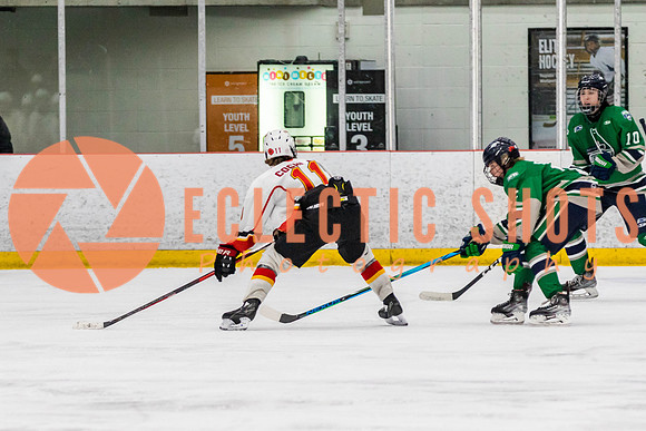 2022.11.09CalFlames-FVTBirds-0495