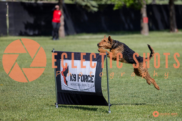2025-K9Force-MayExams-7358