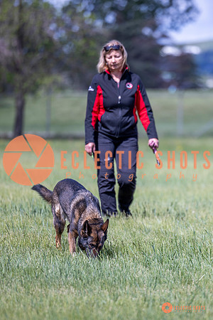 2025-K9Force-MayExams-Kaia-7492