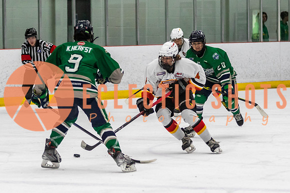 2022.11.09CalFlames-FVTBirds-0384