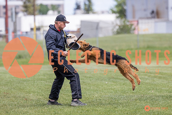 2025-K9Force-MayExams-7850