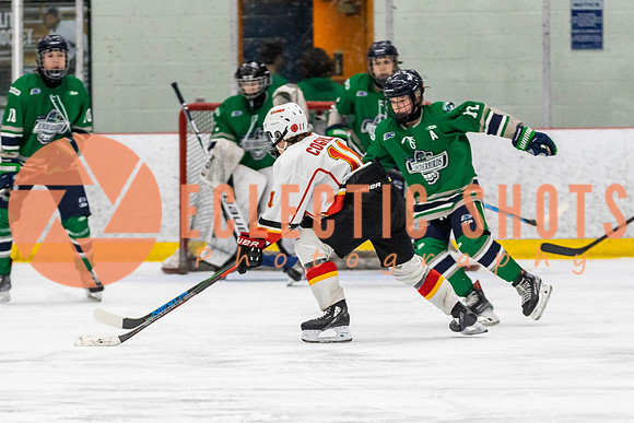 2022.11.09CalFlames-FVTBirds-0490