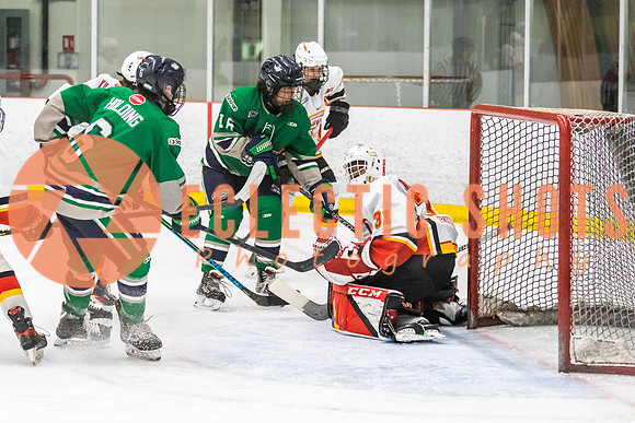 2022.11.09CalFlames-FVTBirds-0269