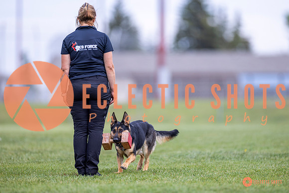 2025-K9Force-MayExams-7103