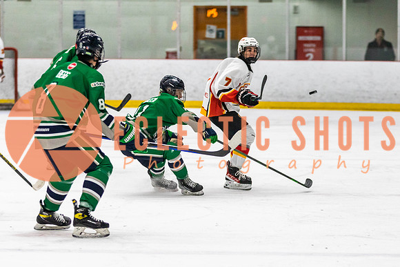 2022.11.09CalFlames-FVTBirds-0373
