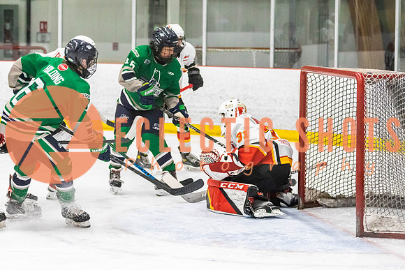 2022.11.09CalFlames-FVTBirds-0268