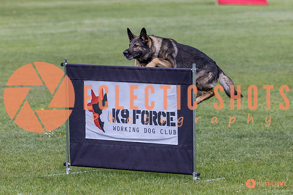2025-K9Force-MayExams-5822