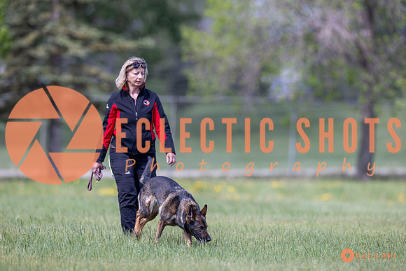 2025-K9Force-MayExams-Kaia-8493