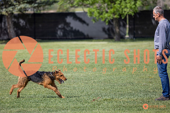 2025-K9Force-MayExams-7394
