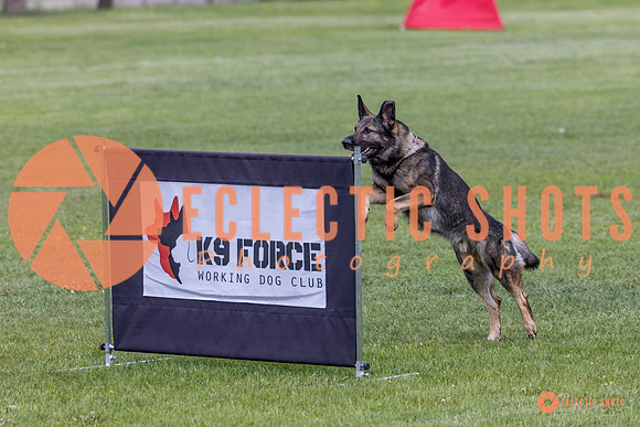 2025-K9Force-MayExams-5819