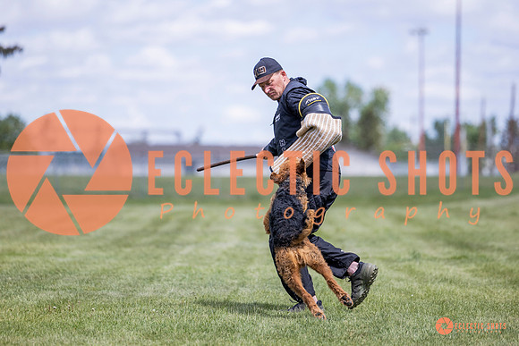 2025-K9Force-MayExams-7798