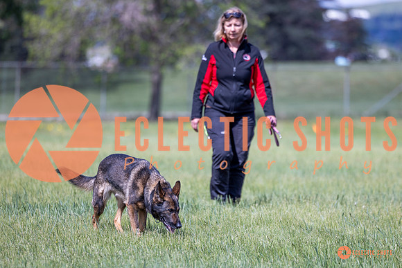 2025-K9Force-MayExams-Kaia-7488