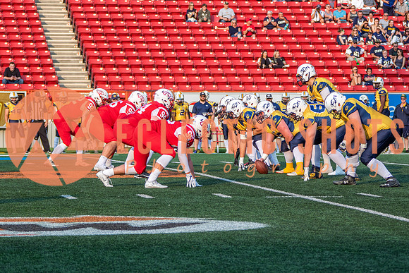 CalgaryColts-2465