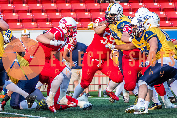 CalgaryColts-2568