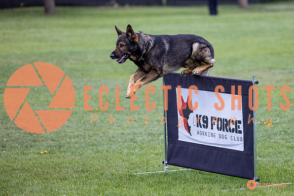 2025-K9Force-MayExams-5585