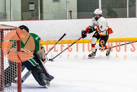 2022.11.09CalFlames-FVTBirds-0402