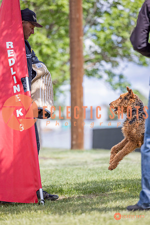 2025-K9Force-MayExams-7772