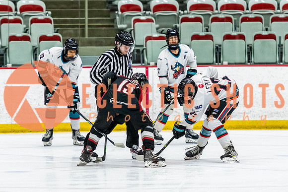 2022.11.12OkRockets-VWGiants-4873