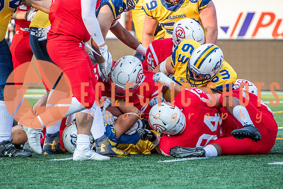 CalgaryColts-2535