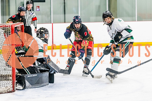 2022.11.11ShPkFlyers-VWGiants-3363